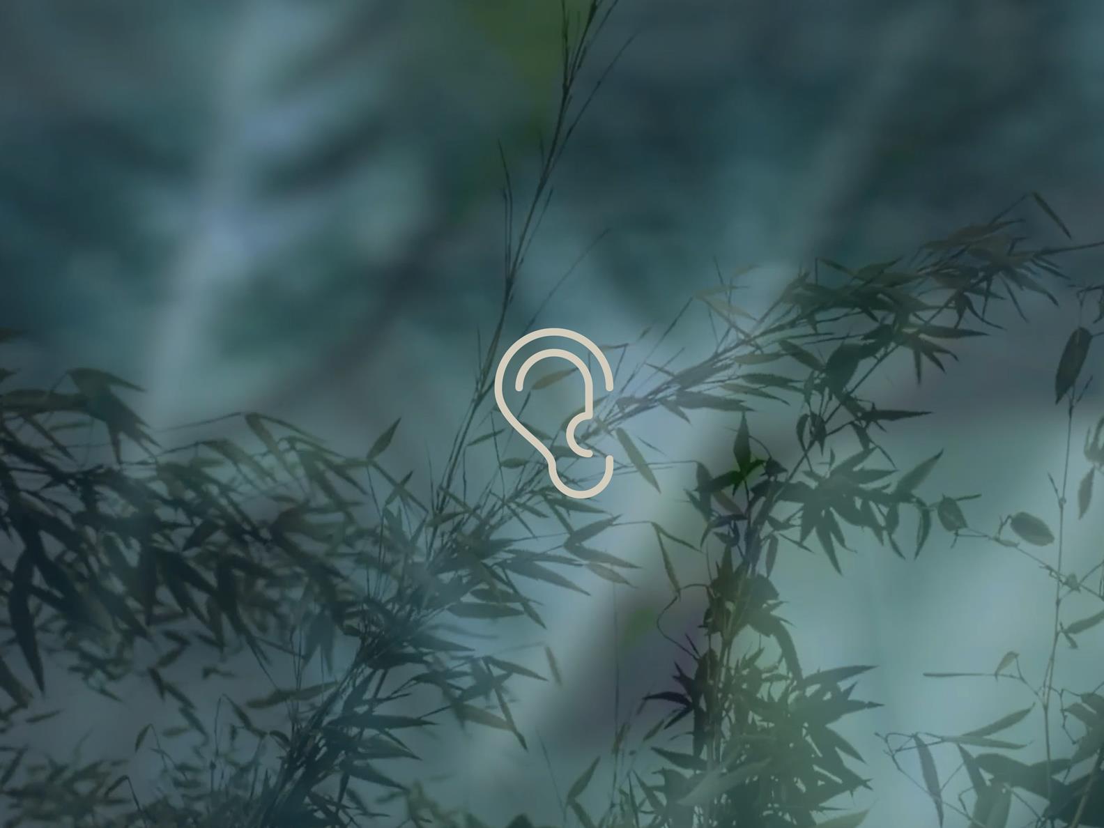 Subarticle SPA Story_5 senses_hear