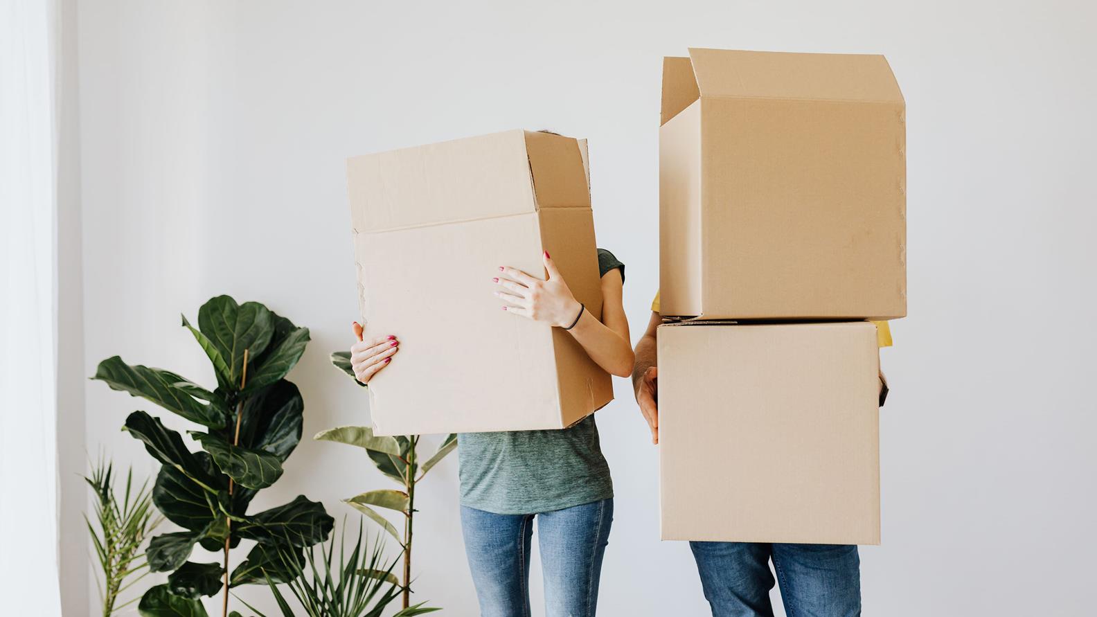 Student Accommodation