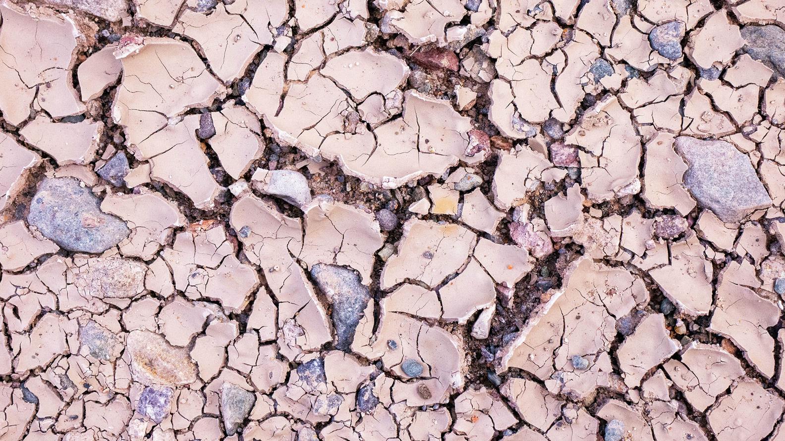 Water Survey Showering