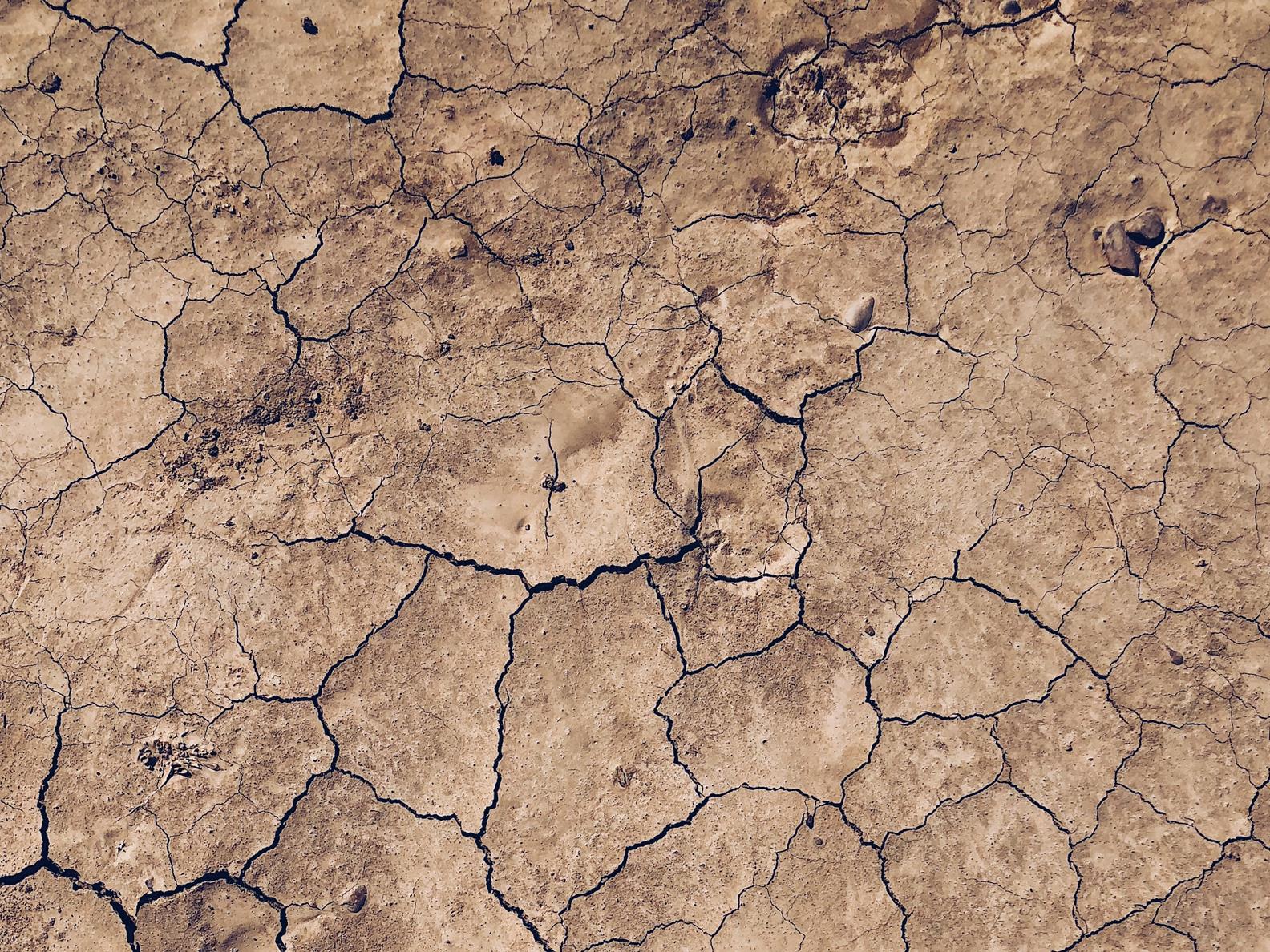 Stock picture_dry ground