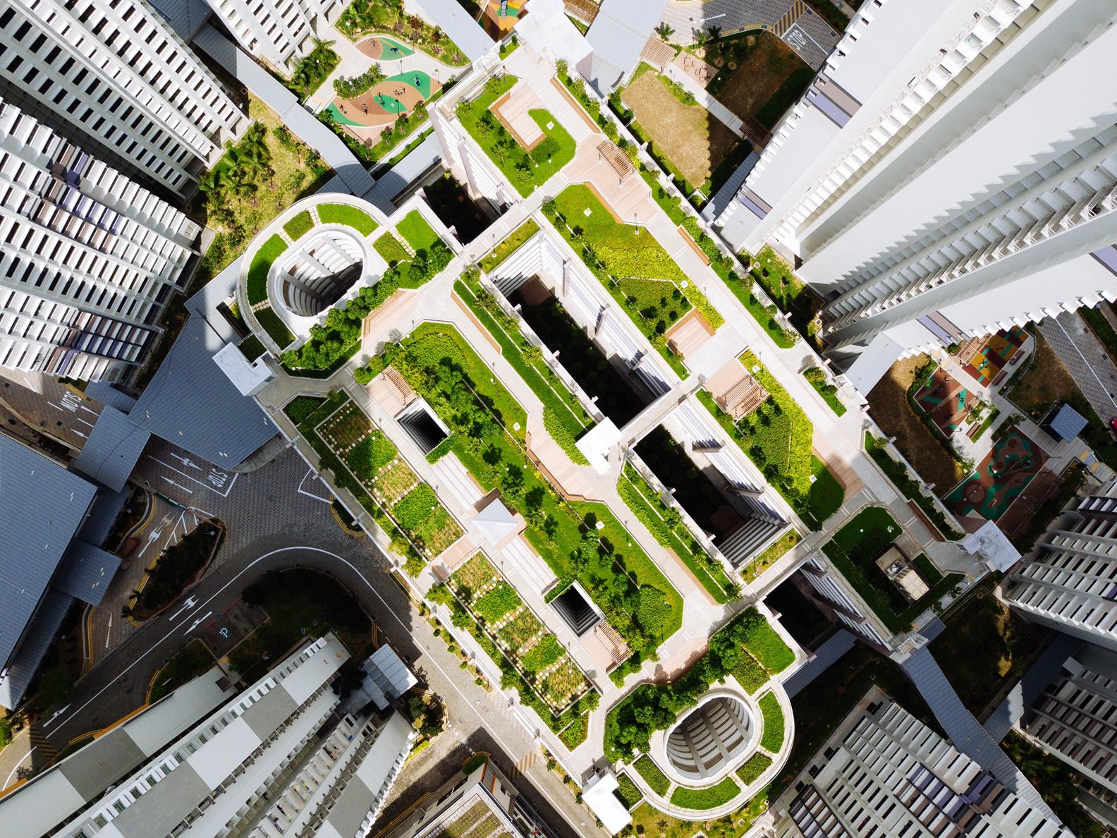 Stock picture_bird view building with green roof