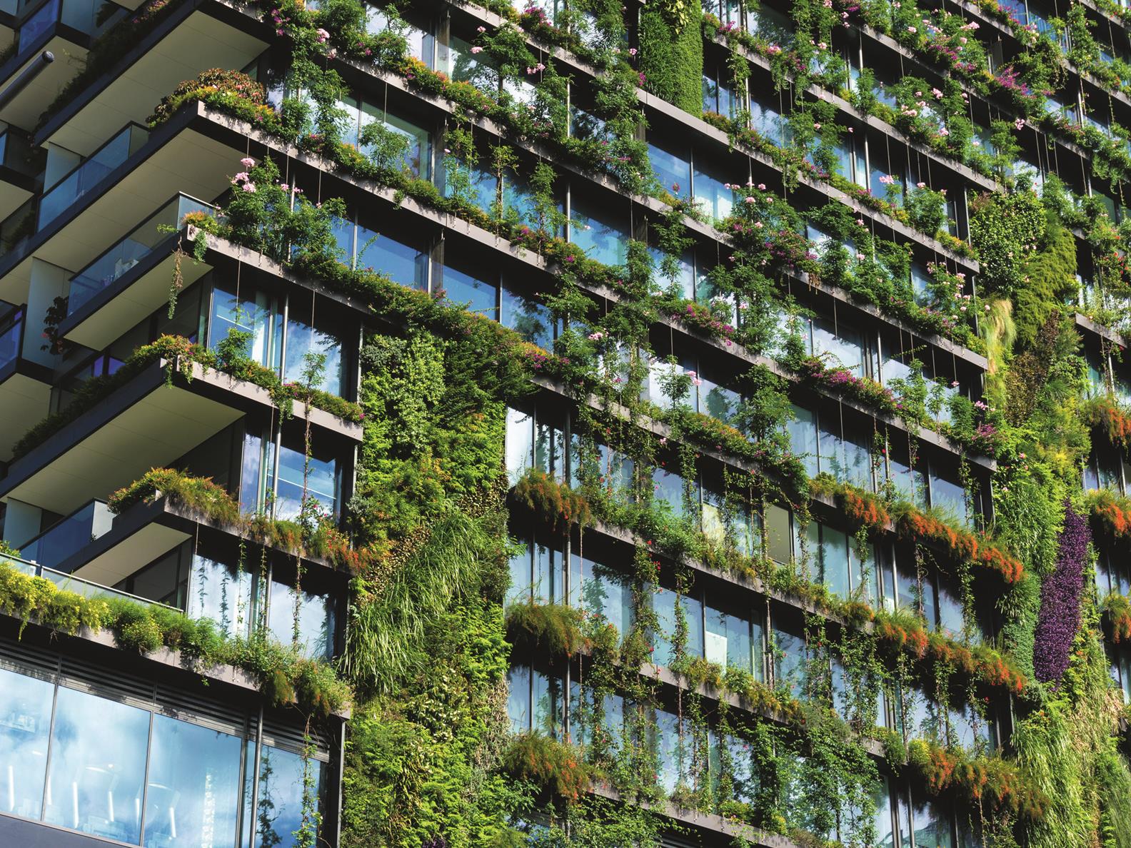 Climate Change Survey5