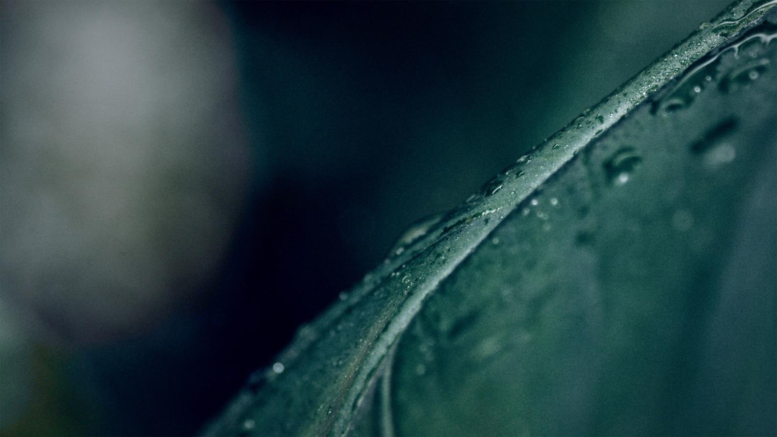 GROHE-X_Summit_Article_01