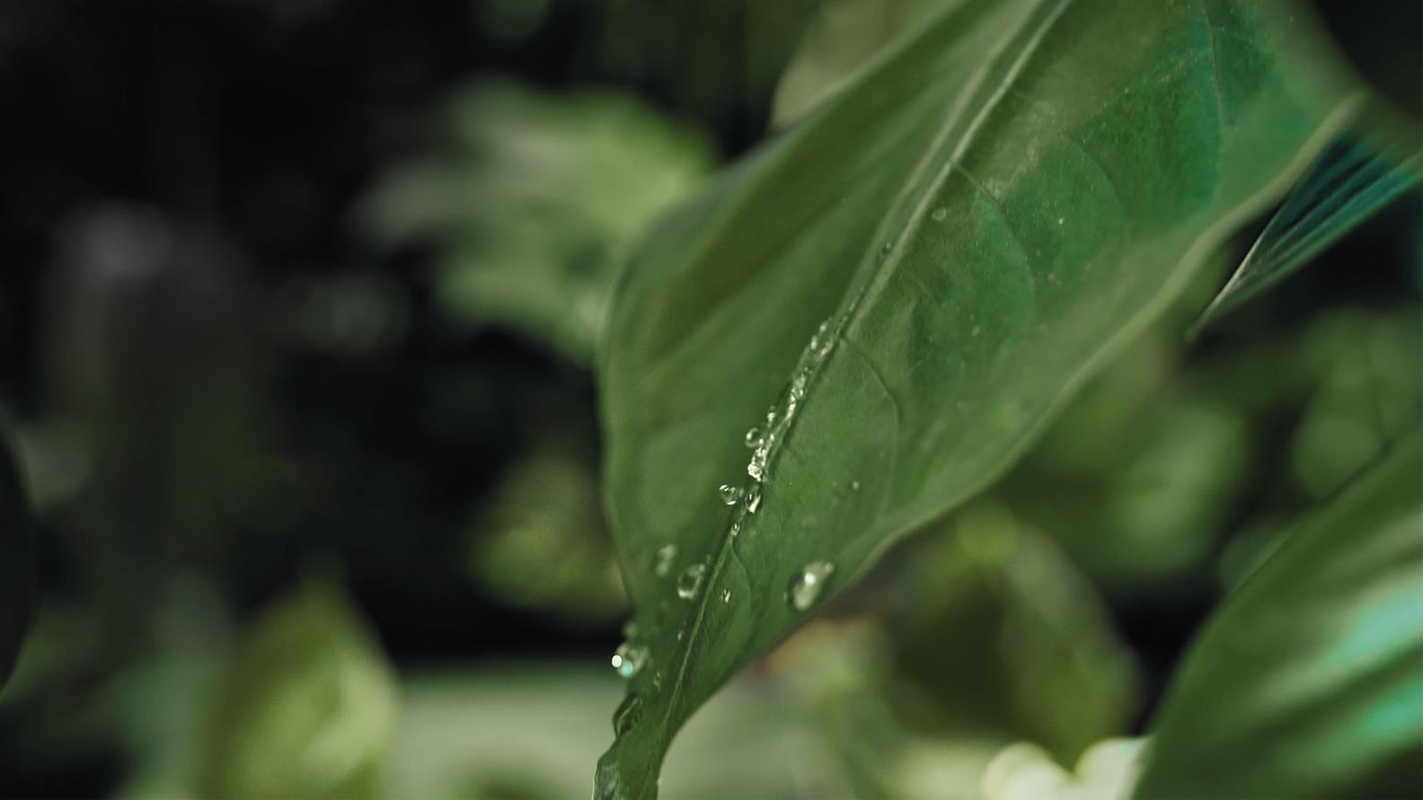 GROHE-X_Article_Recycling-Shower_4-in-a-row_01