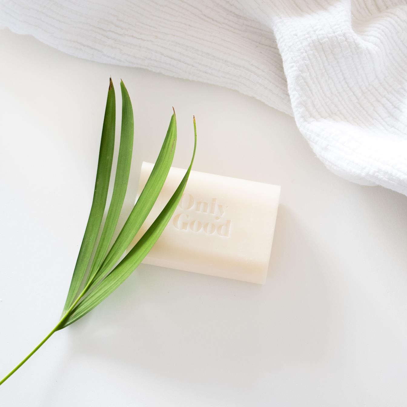 Collage-05_plant and soap