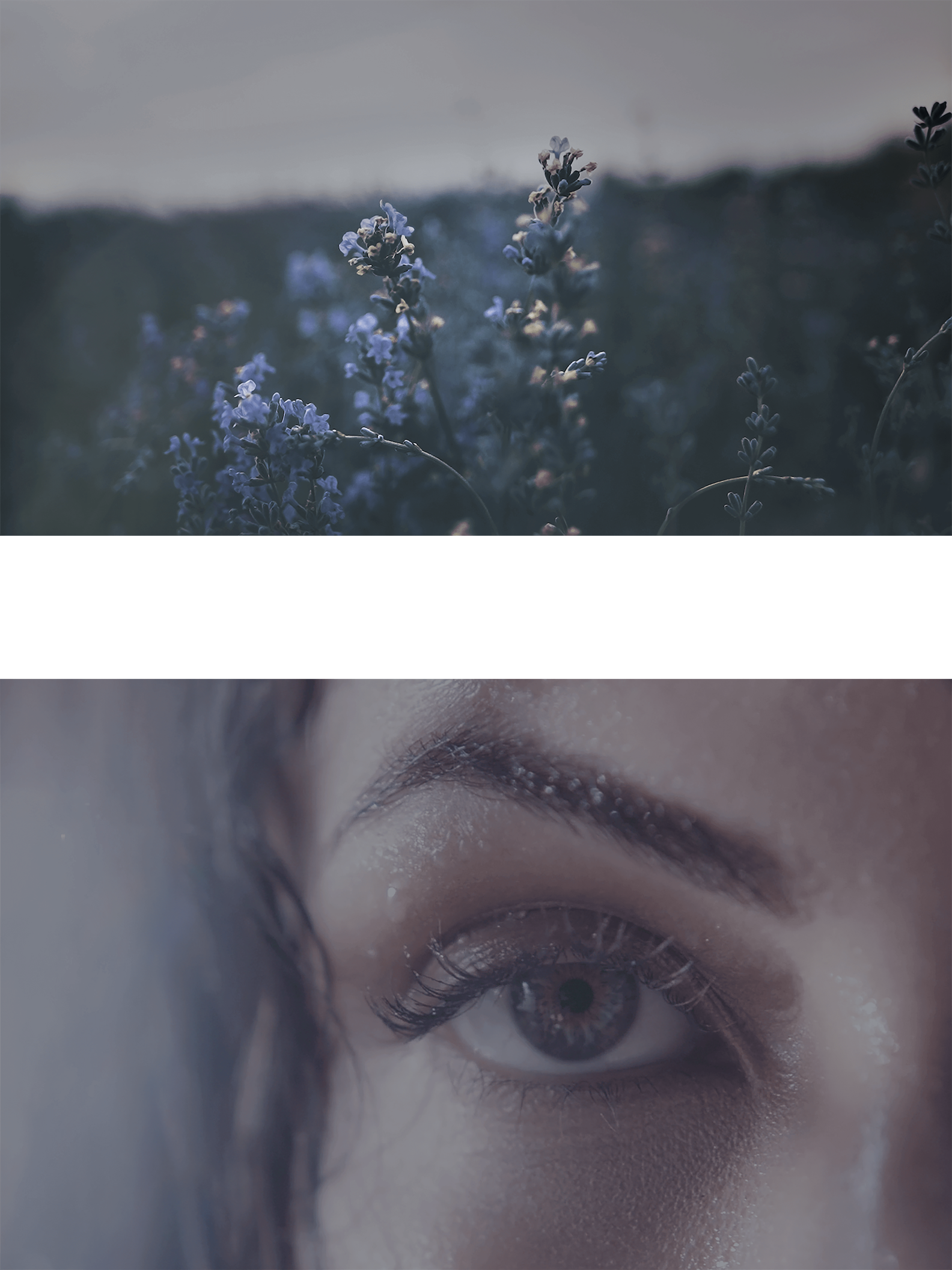 GROHE SPA_Collage-02_flowers and eye