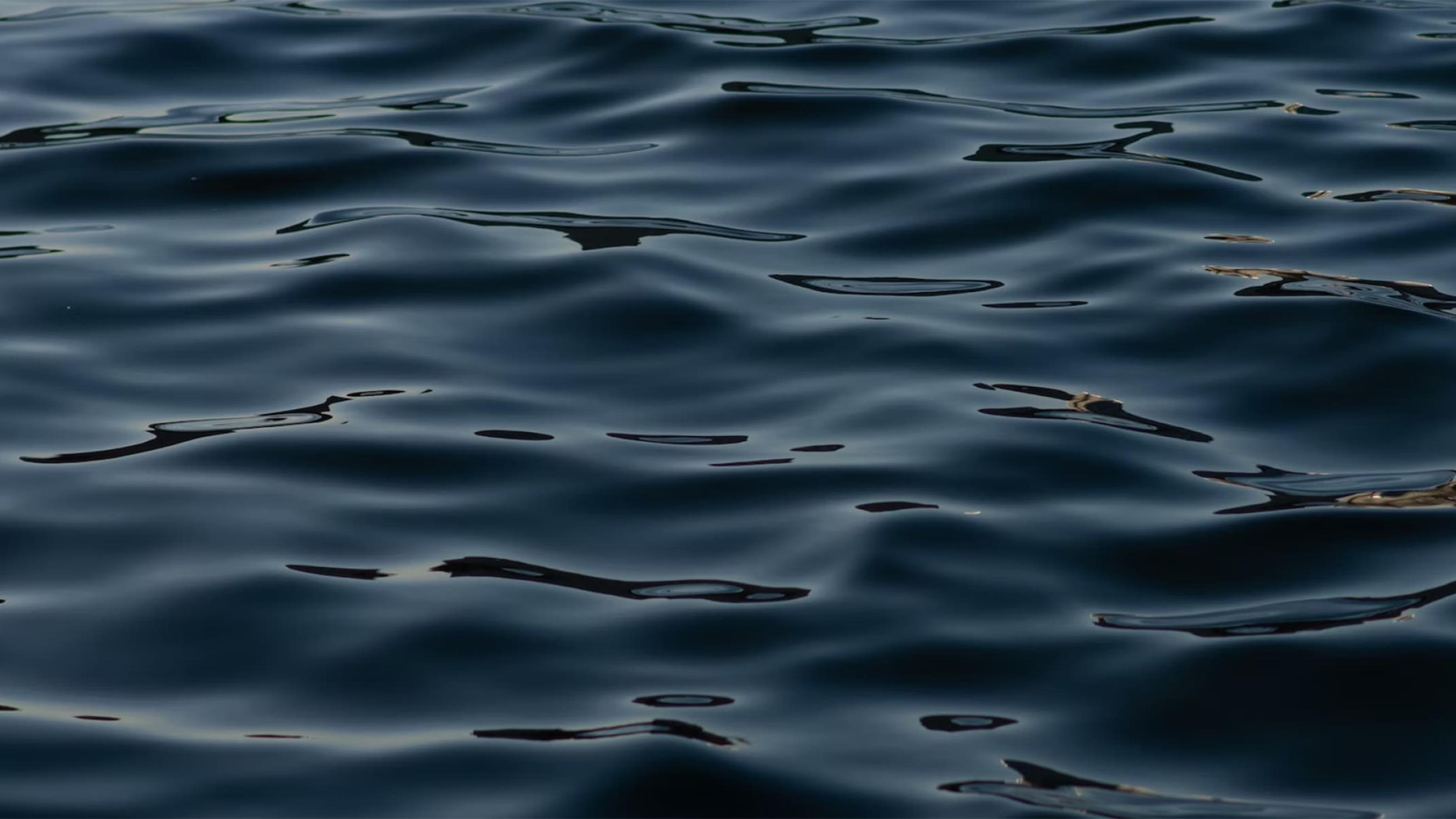 Glass.Mapper.Sc.Fields.Image?.Alt