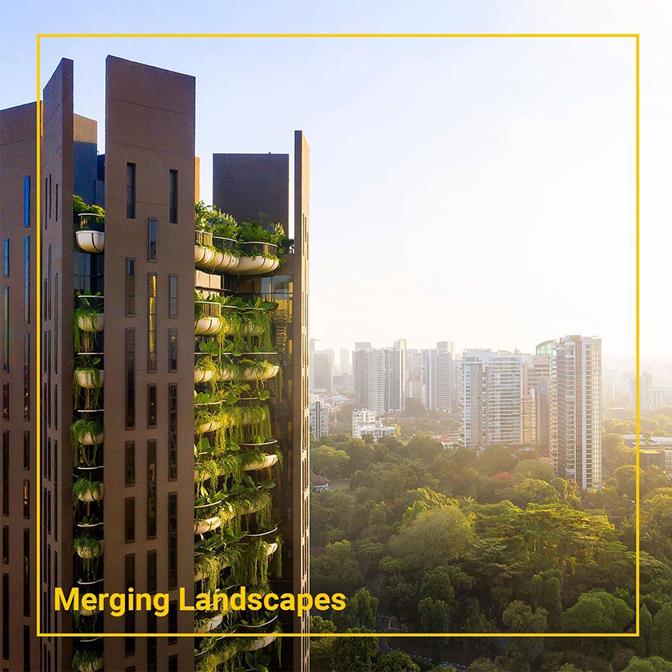 WAF Scrollytelling Collage 02